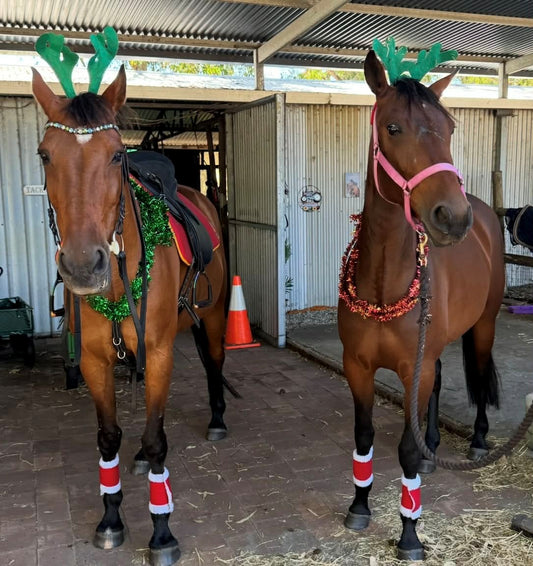 Xmas Rally