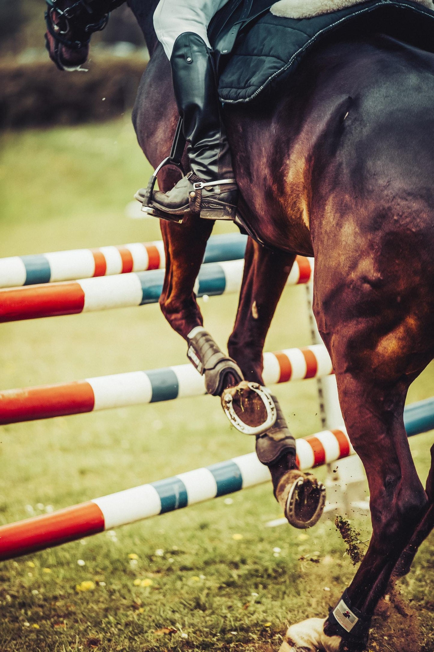 Rally 19th October- Jumping Classes