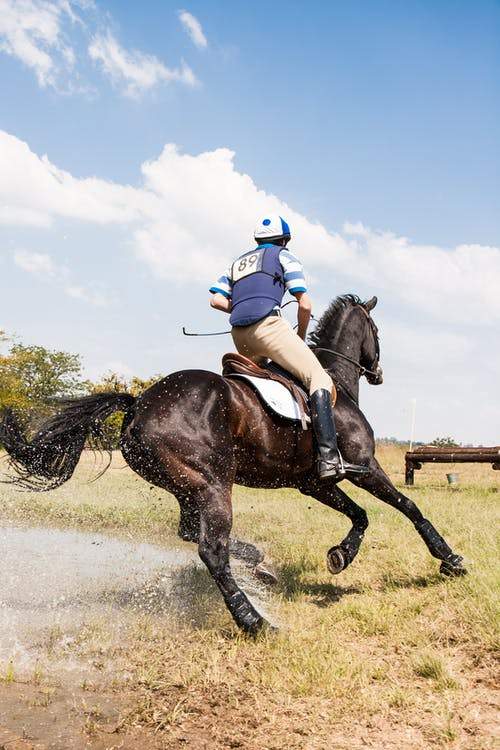 Rally 23rd August - Cross Country Classes
