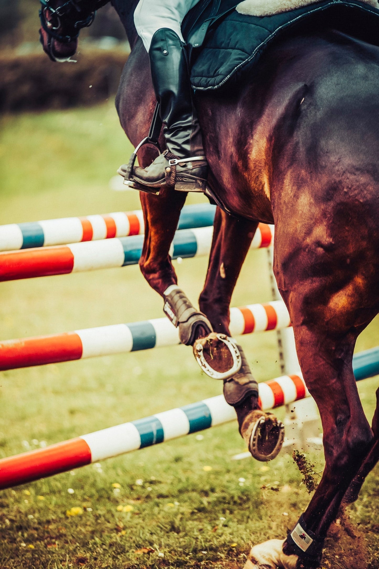 Show Jump Day - April 20th