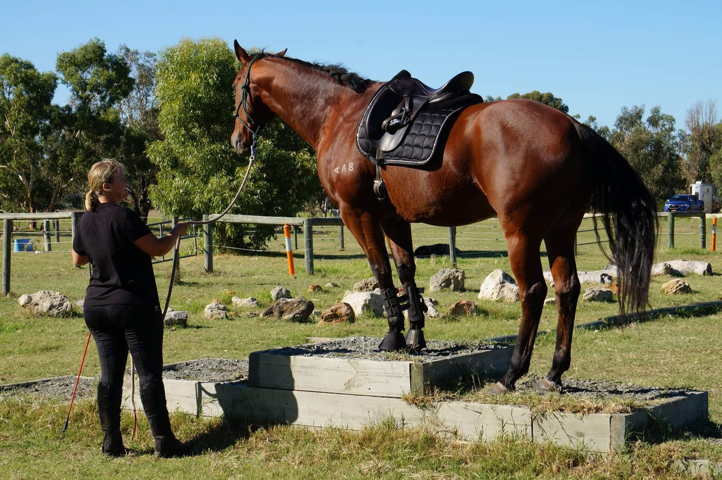 Equestrian Playground Day
