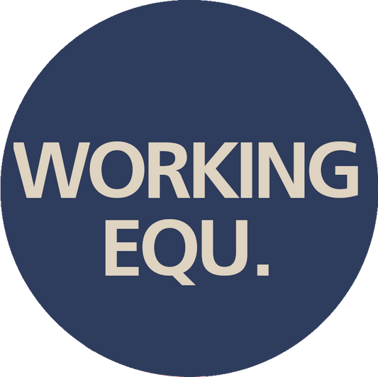 Rally 15th March - Working Equitation Classes - Crissy Colleta