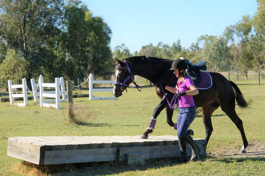 Equestrian Playground Day